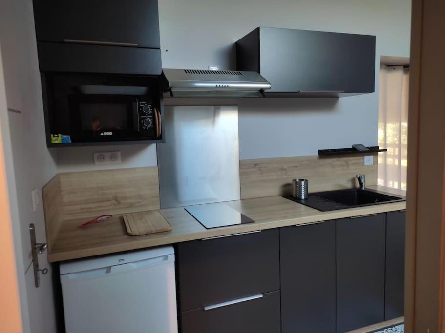 Appartement Le Saint Maur Neuville-de-Poitou Экстерьер фото